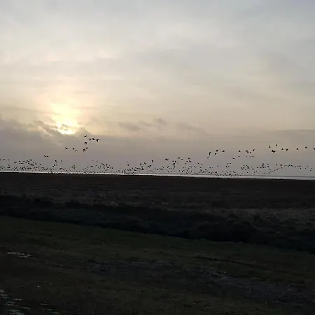Fewo Blied Am Gulfhof Anelis Krummhörn